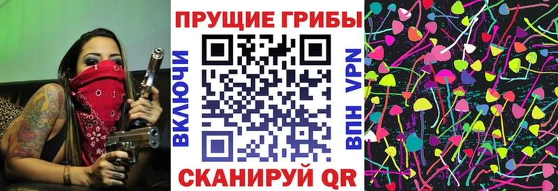 Галлюциногенные грибы MAGIC MUSHROOMS  где купить наркоту  omg ТОР  Пикалёво 